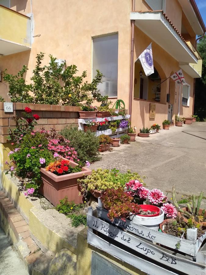 B&B Il Rifugio Del Lupo - E6721 Paringianu Kültér fotó